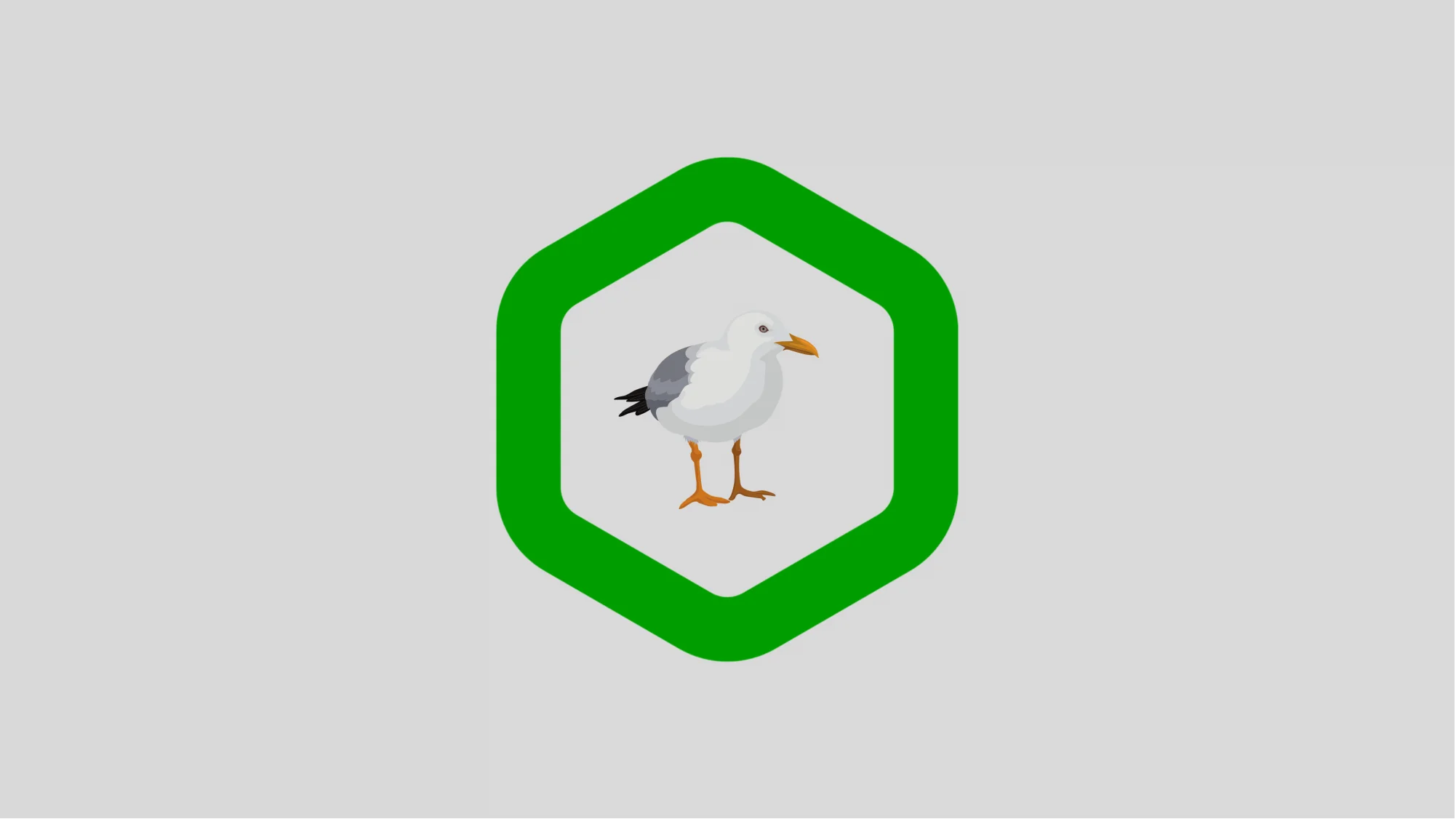 Comenzó el período de avistamiento del Gaviotín Chico