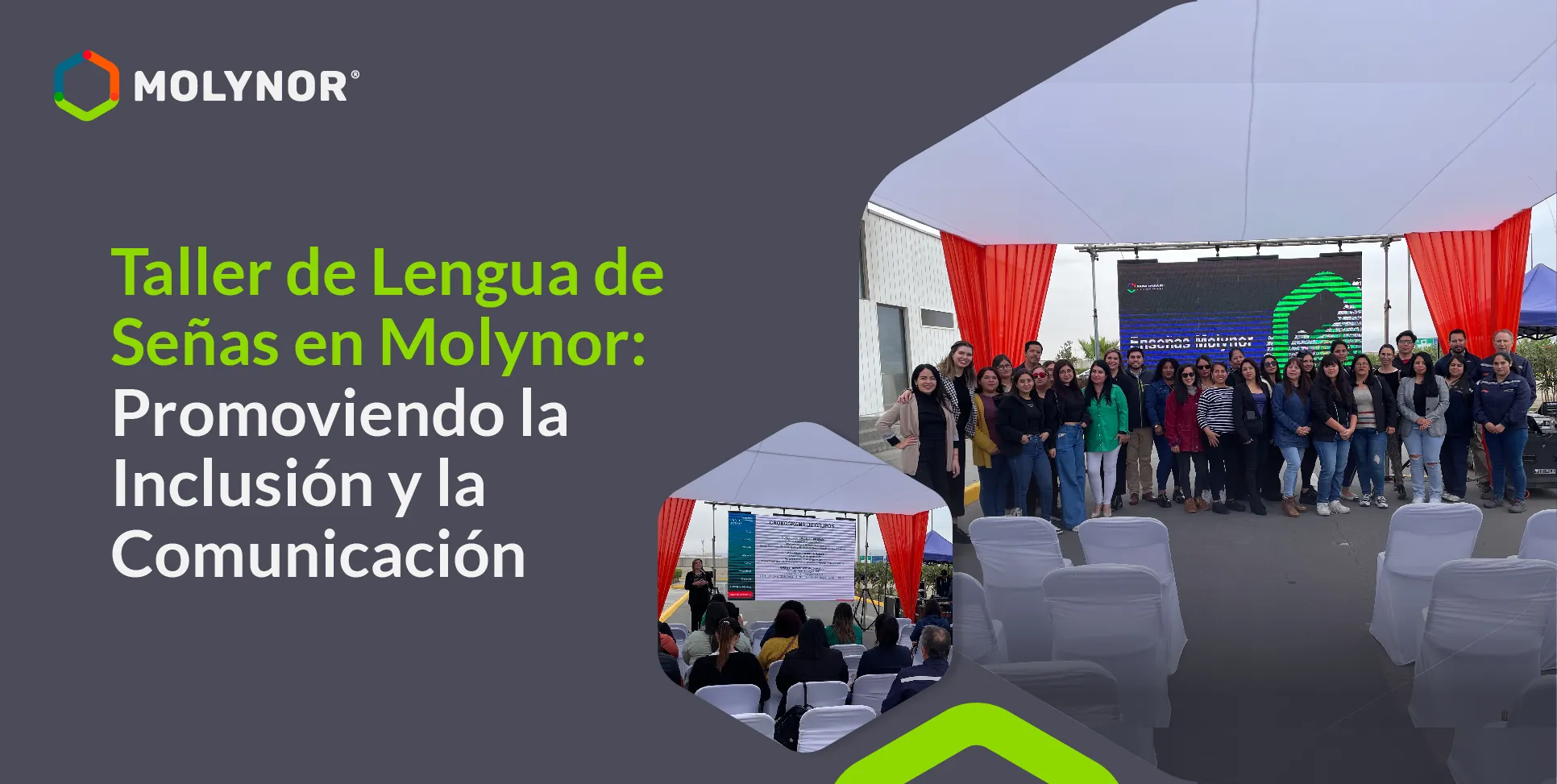 aller de Lengua de Señas en Molynor: Promoviendo la Inclusión y la Comunicación