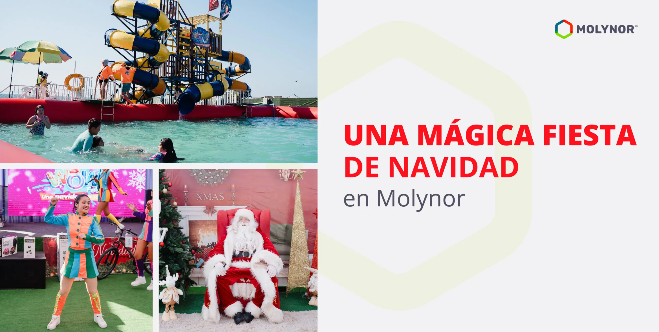 Una mágica Fiesta de Navidad en Molynor