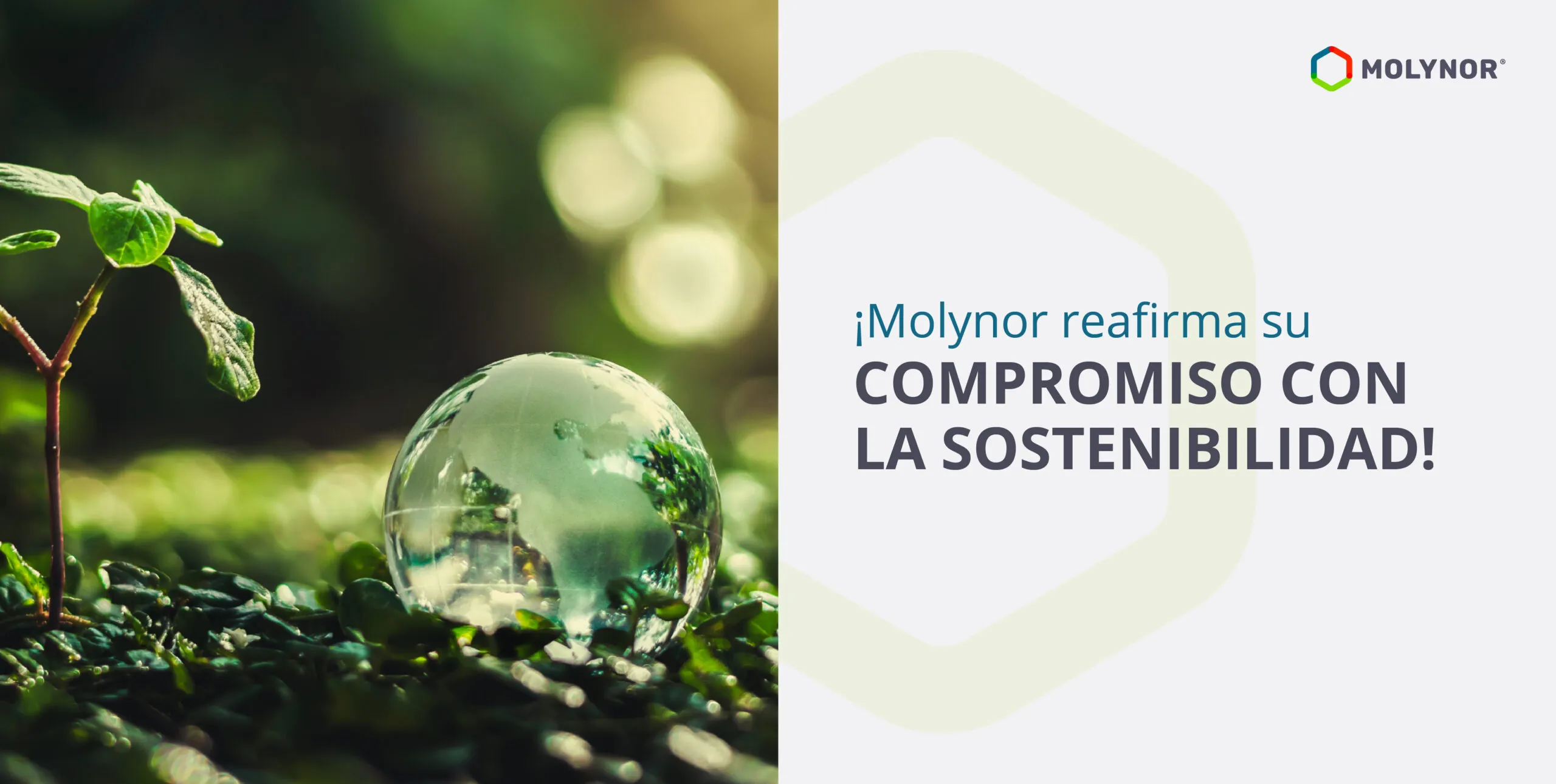 ¡Molynor reafirma su compromiso con la sostenibilidad!