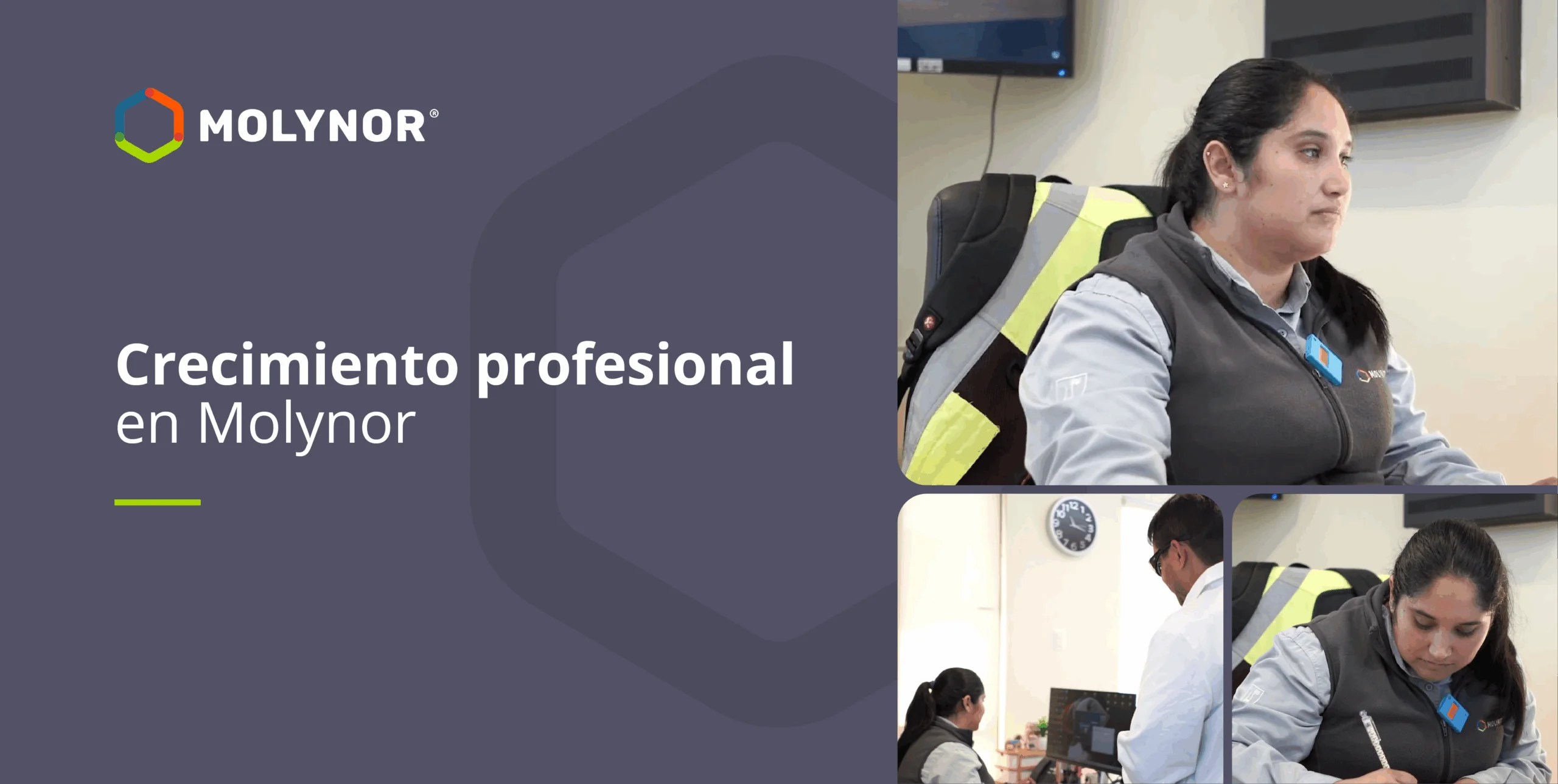 Crecimiento profesional en Molynor